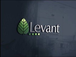 Levant Corporation